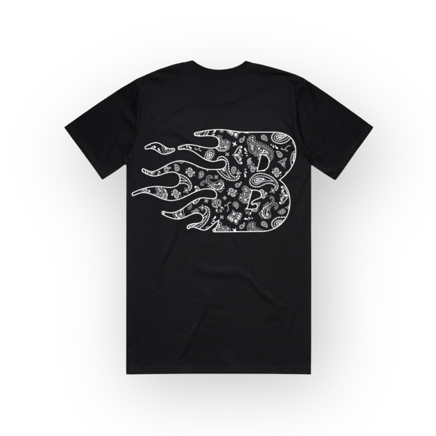 Paisley Dreams