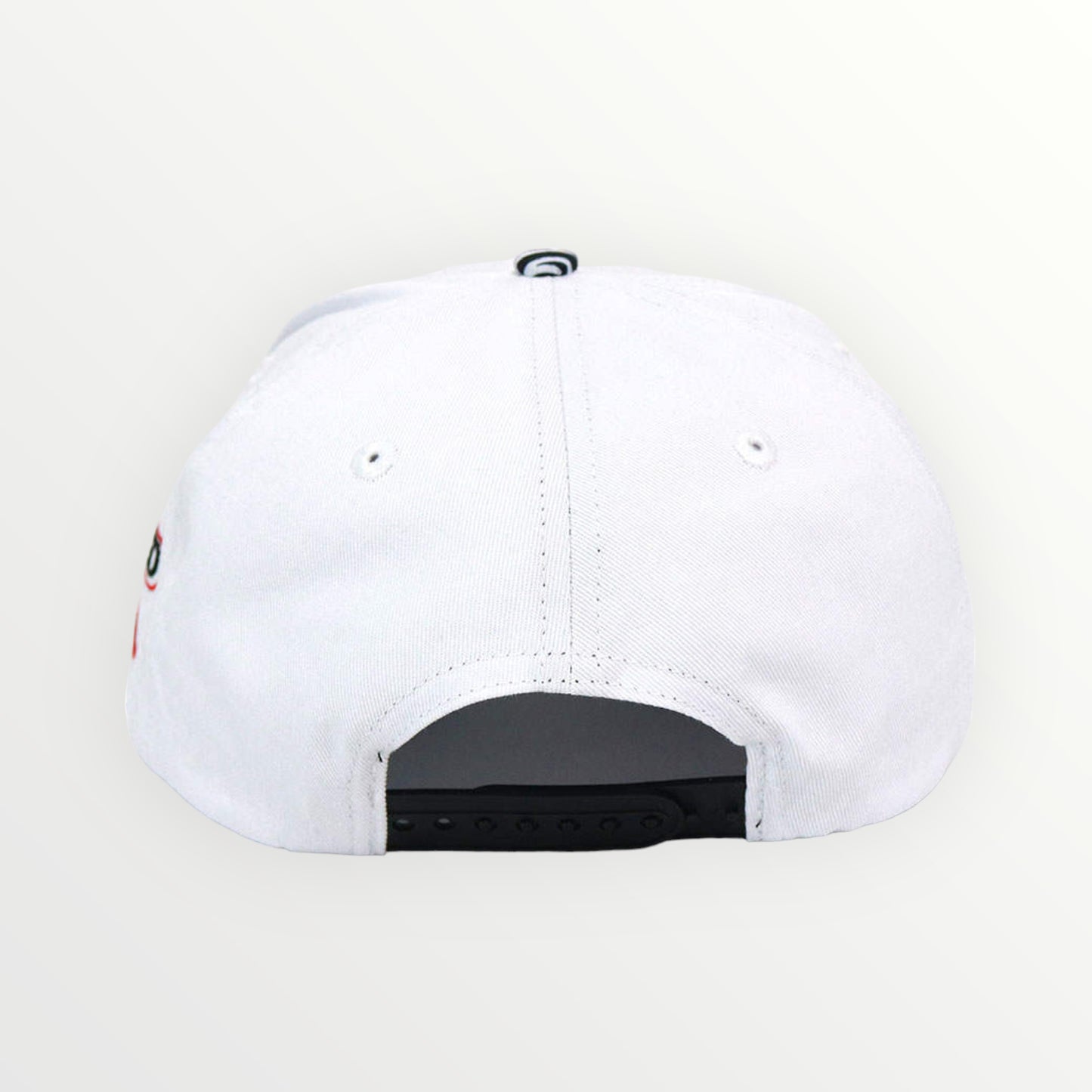 BST Snapback Hat